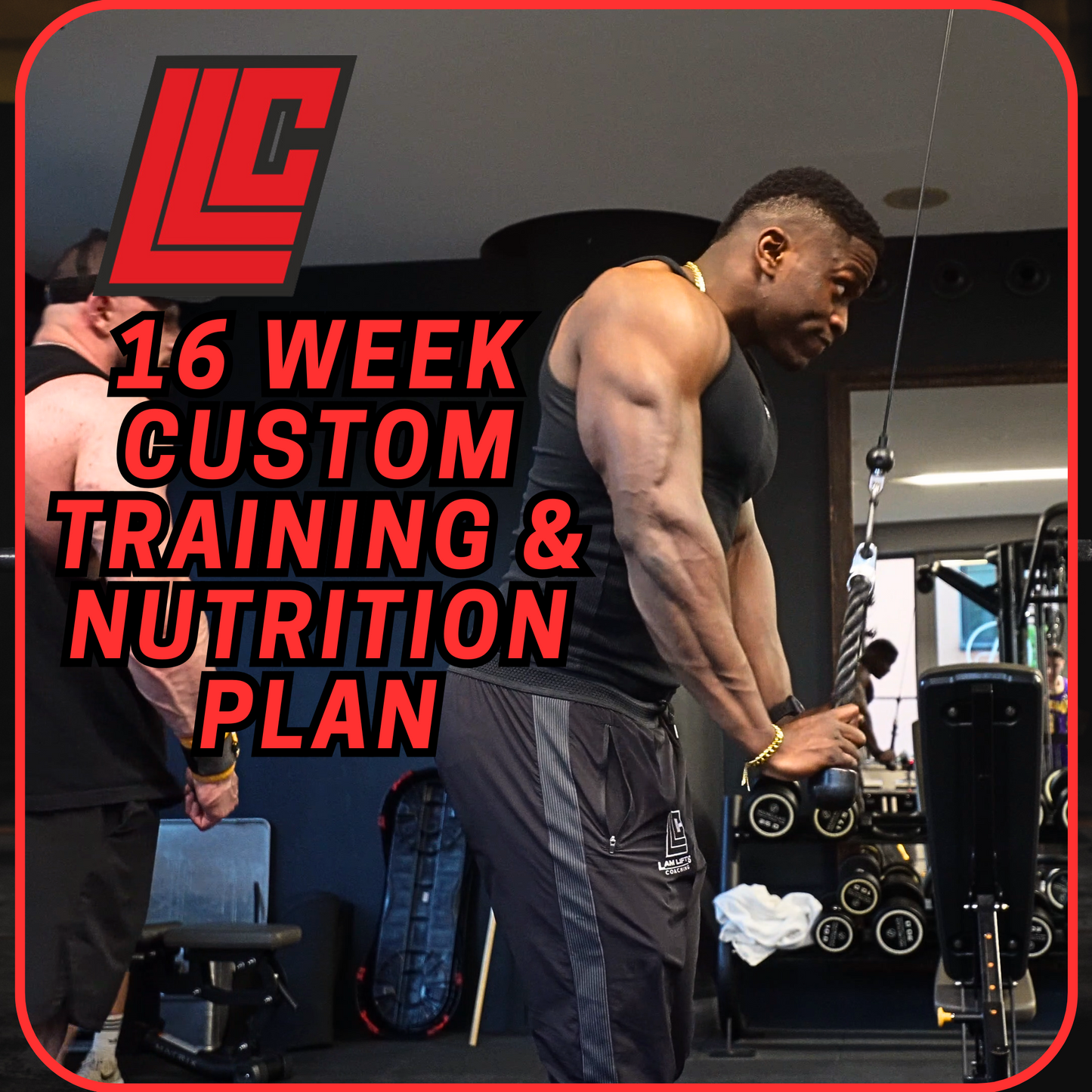 16 Week Training & Nutritional Guidance Plan